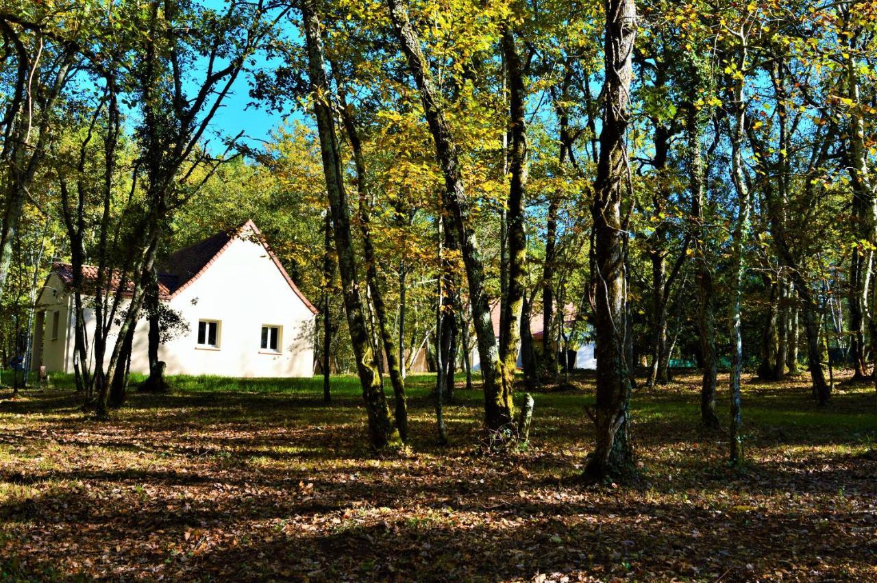 Gite Spa & Nature Saint-Chamassy Extérieur photo