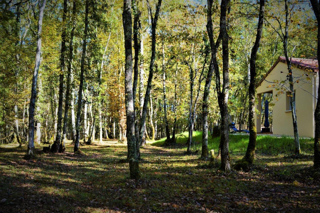 Gite Spa & Nature Saint-Chamassy Extérieur photo